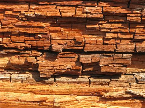 Wood rot. Things To Know About Wood rot. 